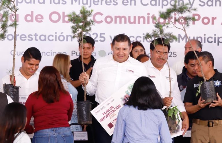 Con reforestación, Gobierno de Armenta construye paz ambiental